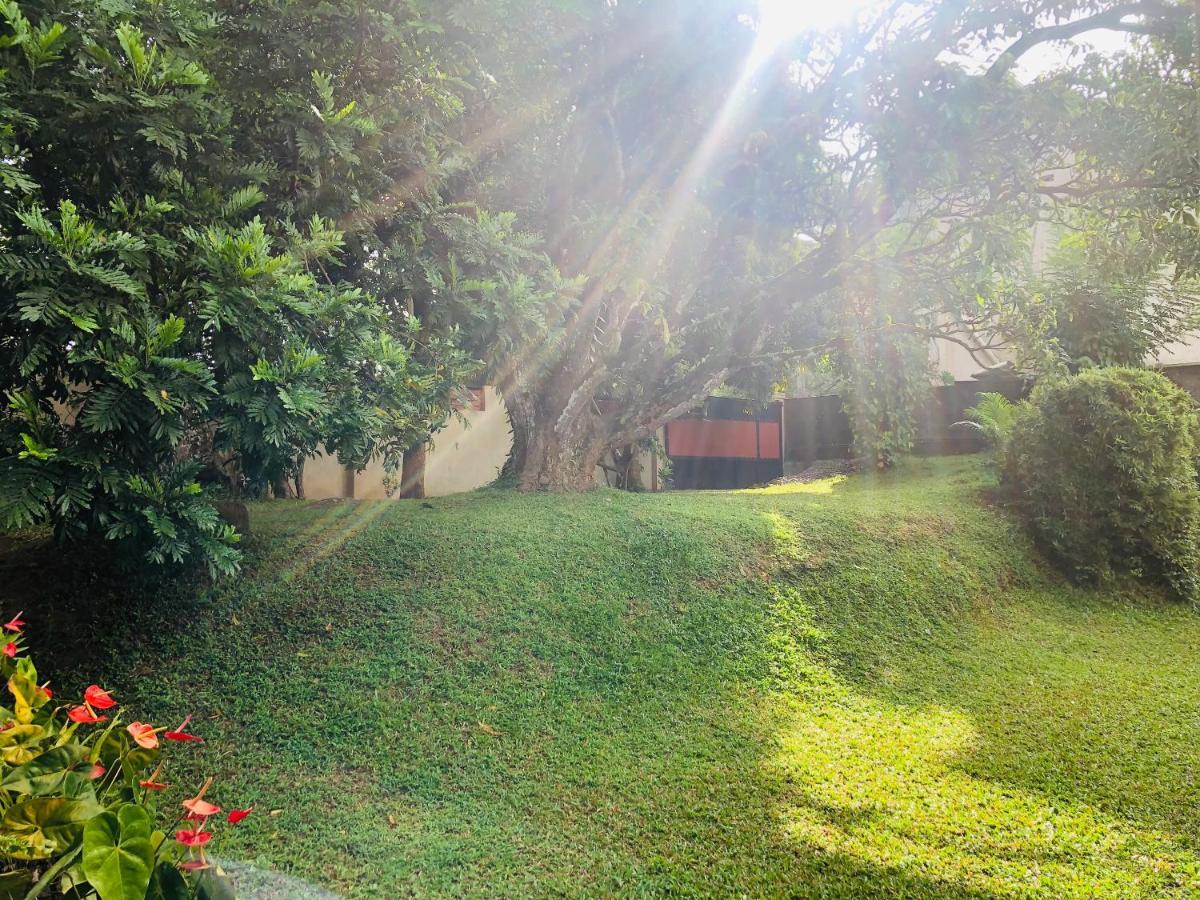 47 Alfred House - Free Pickup From Kandy City Exterior foto