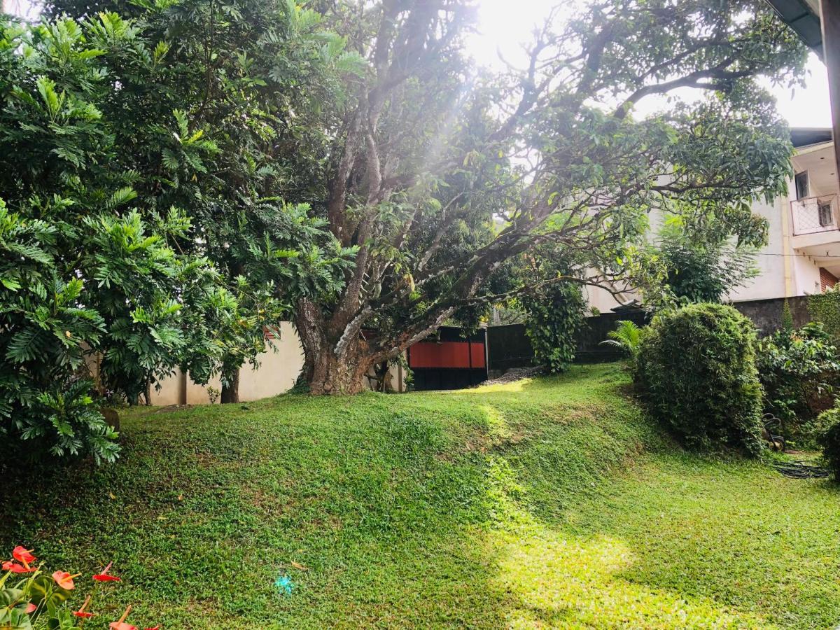47 Alfred House - Free Pickup From Kandy City Exterior foto